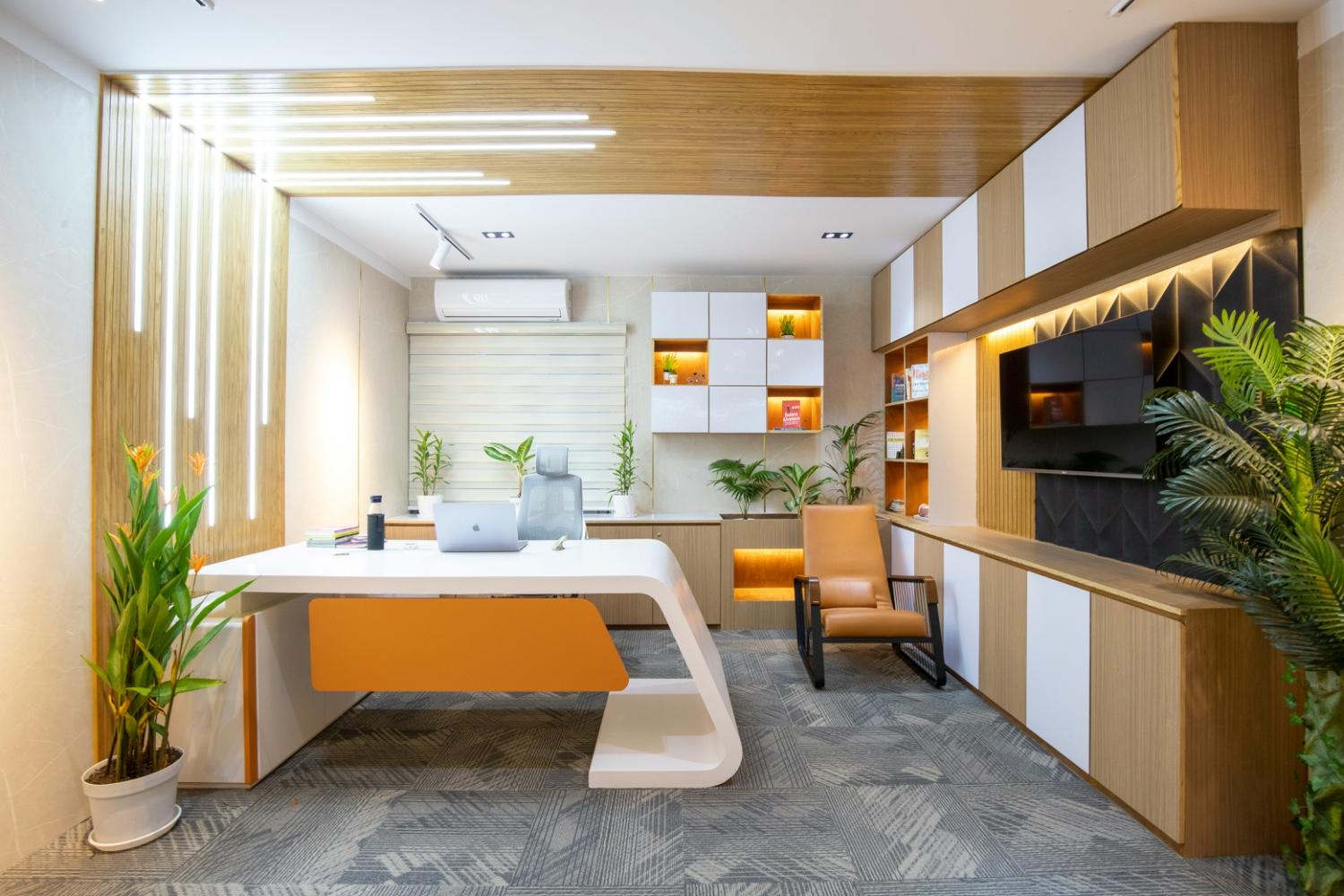CEO & C-suite cabin