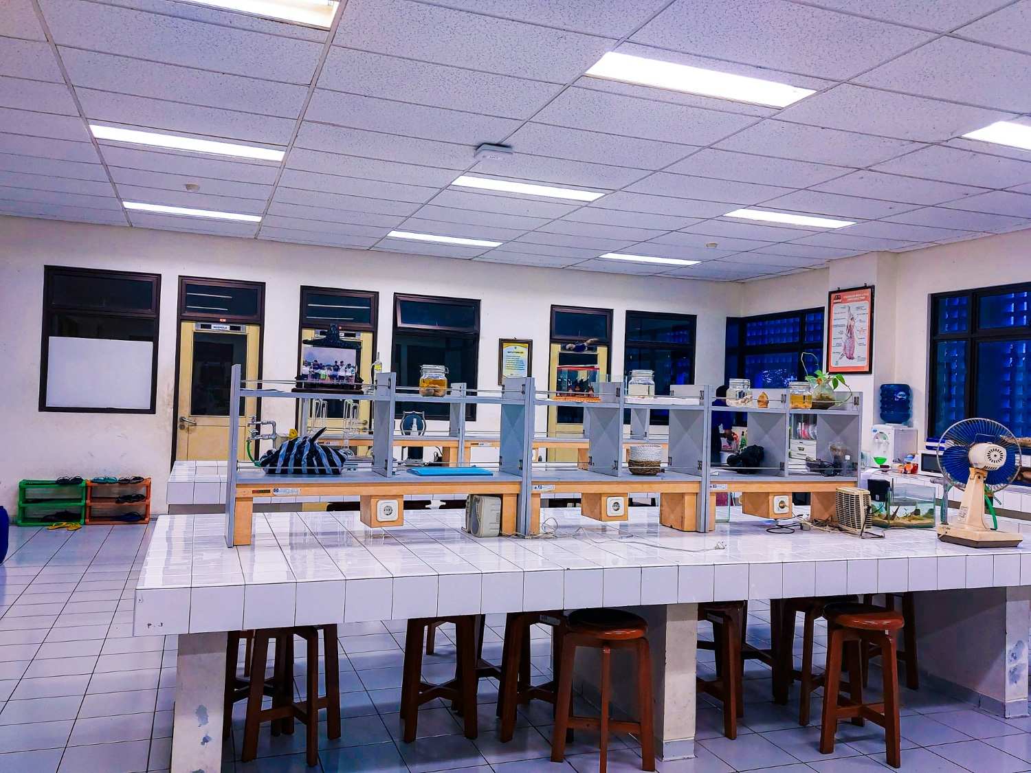 Science & computer labs
